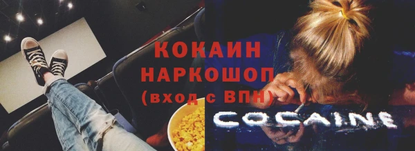 СК Бронницы
