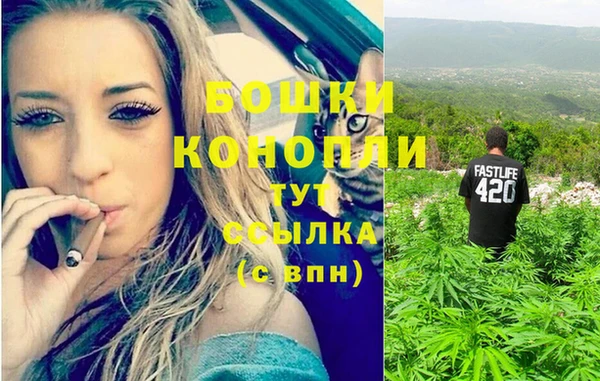 кокс Бородино
